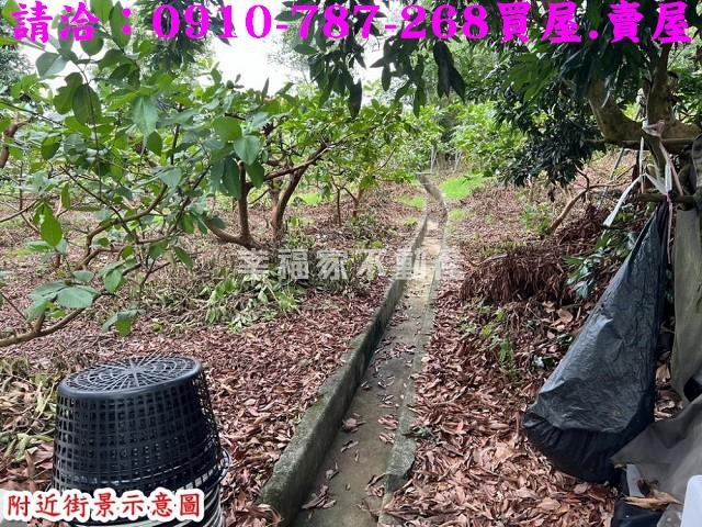 玉井農地-14
