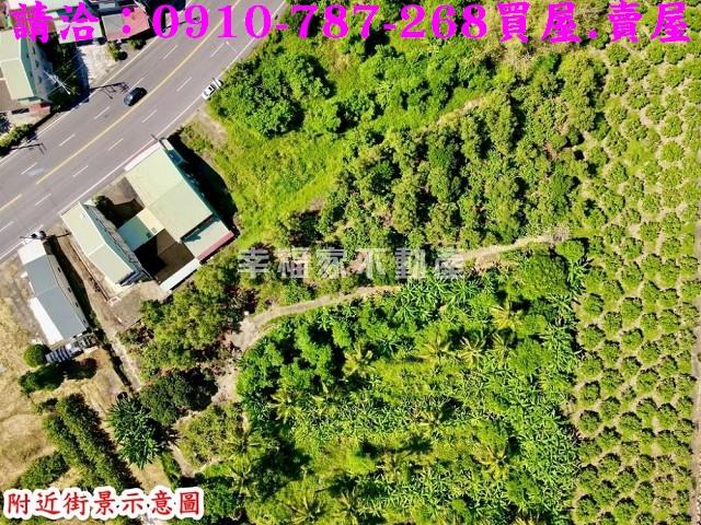 玉井農地-1