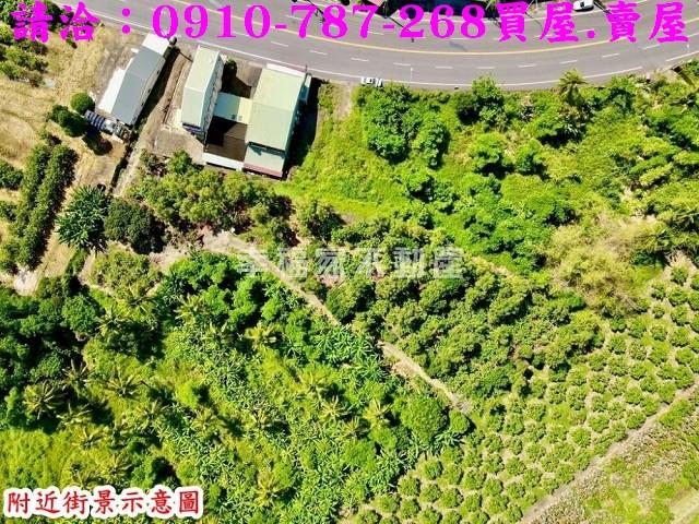 玉井農地-2
