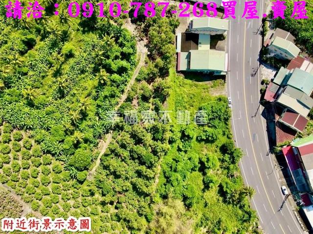 玉井農地-3
