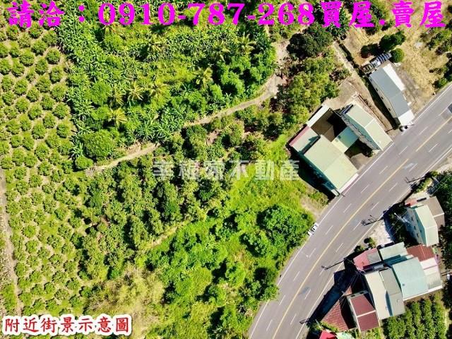 玉井農地-4