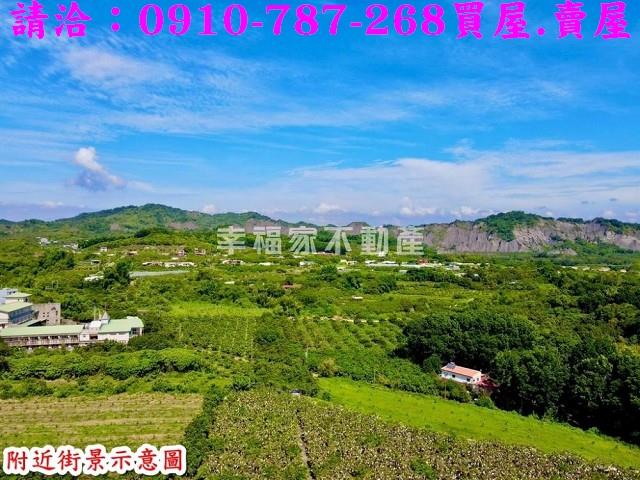 玉井農地-5