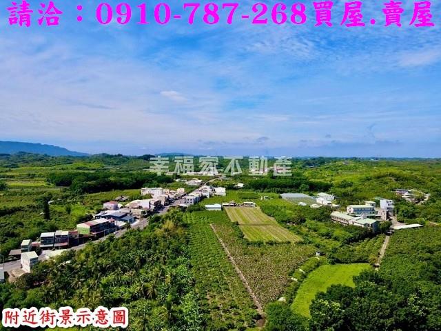 玉井農地-7