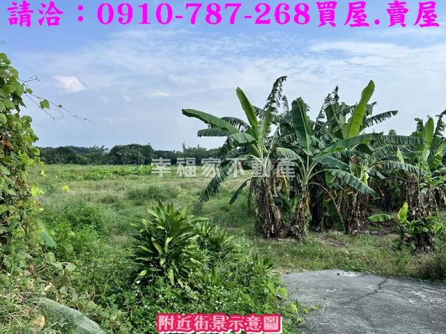 台南山上農地-9