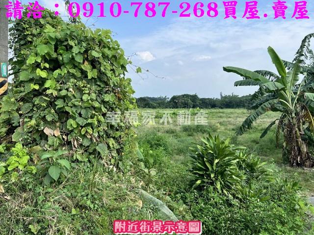 台南山上農地-3