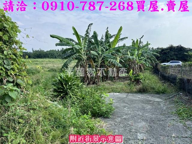 台南山上農地-4