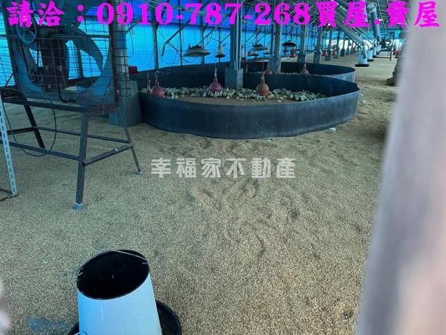 台南後壁農地-7