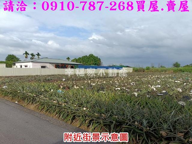 新化農地-4