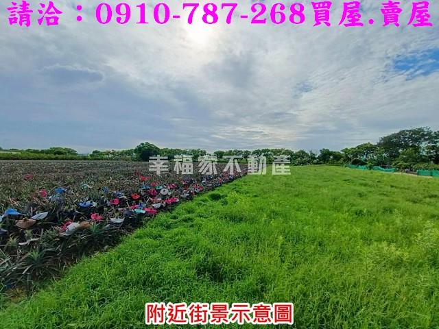 新化農地-5