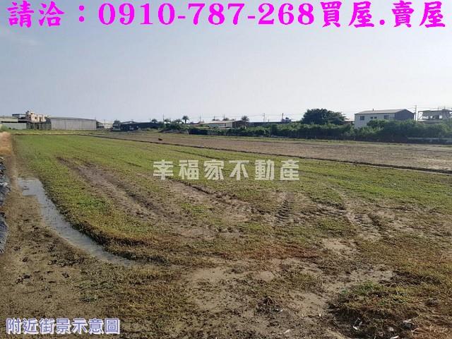 安南農地-11