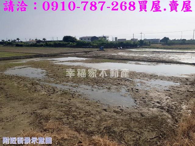 安南農地-12
