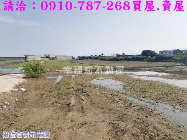 安南農地-13