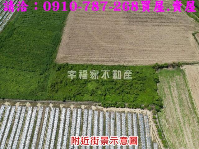 新市農地-11