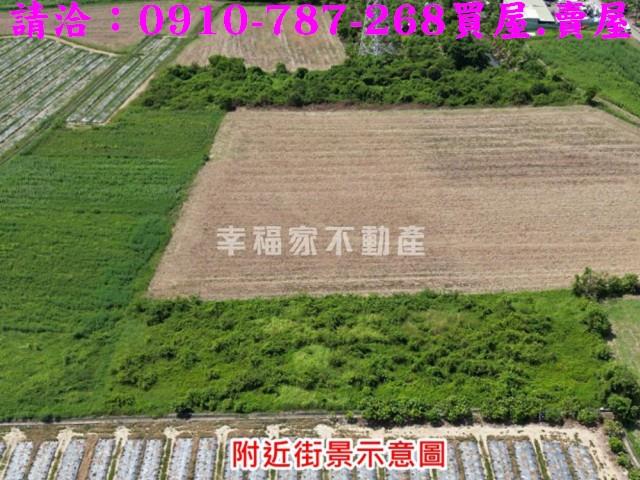 新市農地-4
