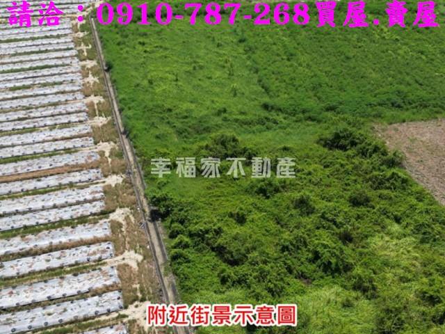 新市農地-6