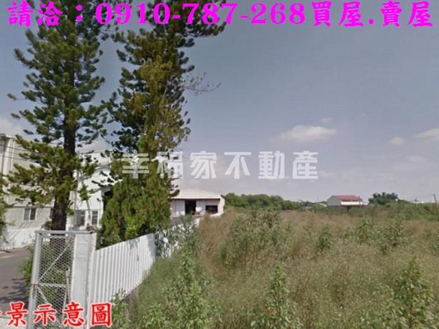 台南柳營農地-11