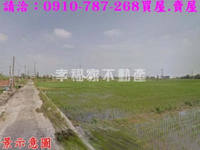 台南柳營農地-4