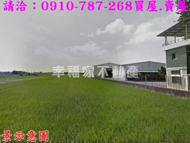台南柳營農地-5