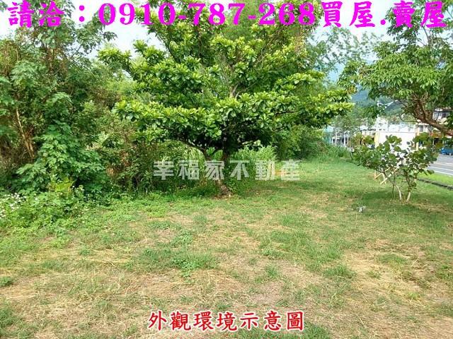 台南南化農地-7