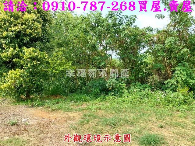 台南南化農地-8