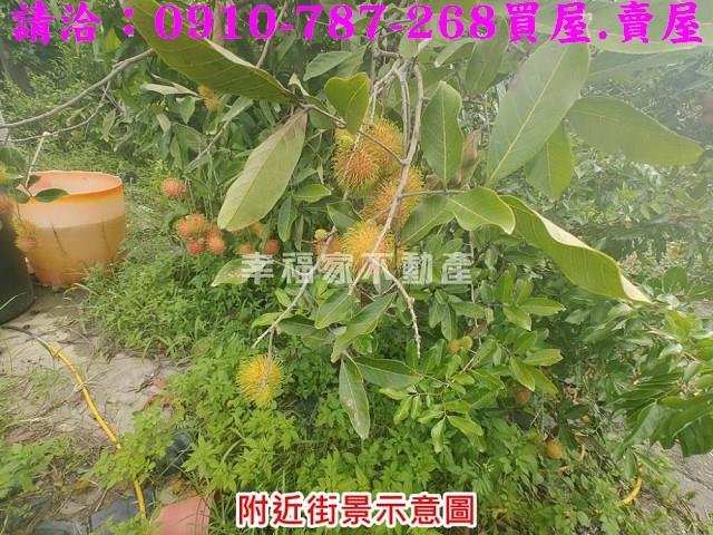 台南農地-9