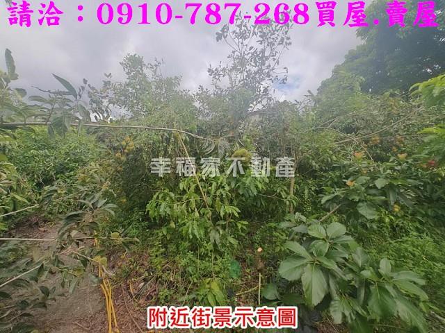 台南農地-10
