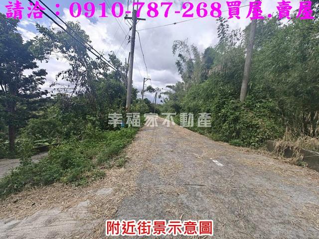 台南農地-13