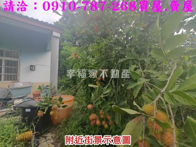 台南農地-5