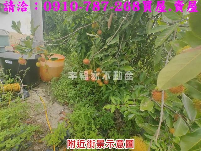 台南農地-8