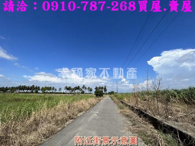 新市農地-2
