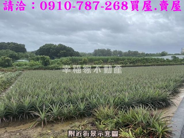 台南山上農地-10