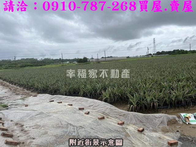台南山上農地-11