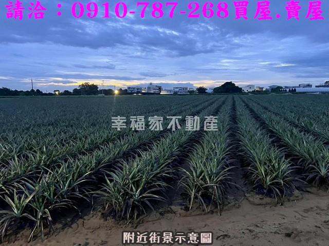台南山上農地-2