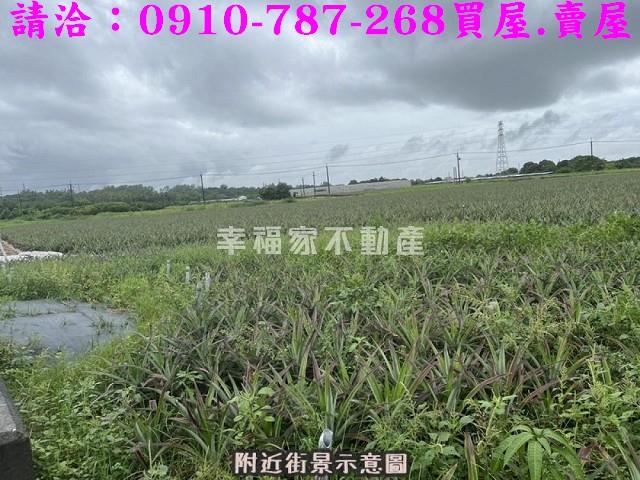 台南山上農地-6