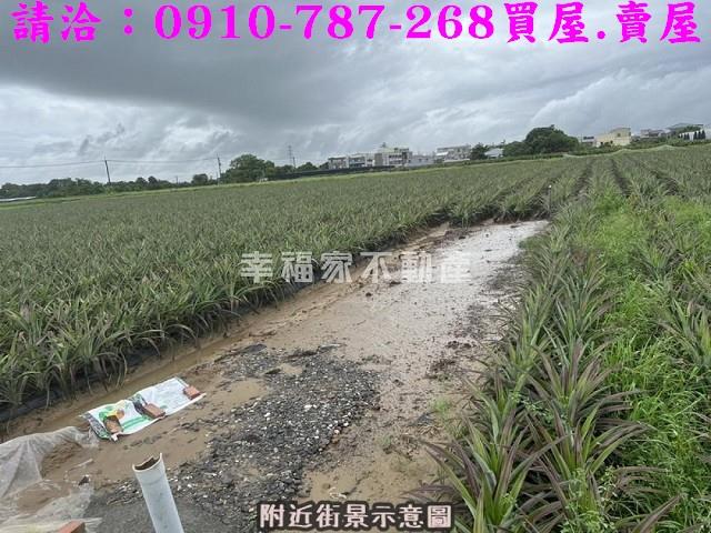 台南山上農地-7