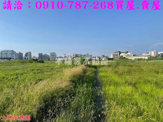台南農地-6