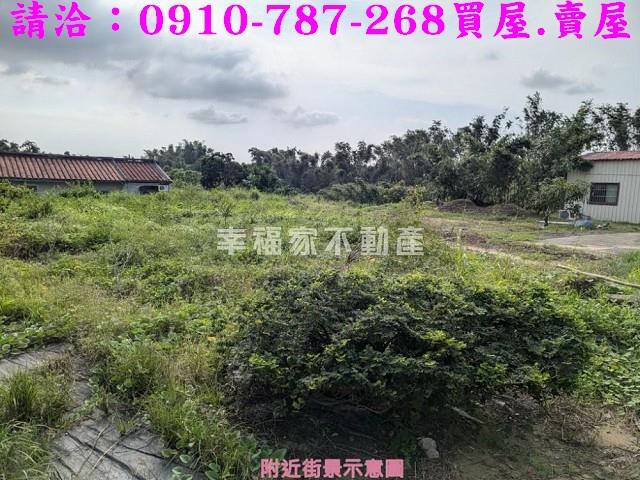 關廟農地-9