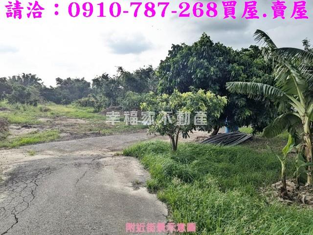 關廟農地-14