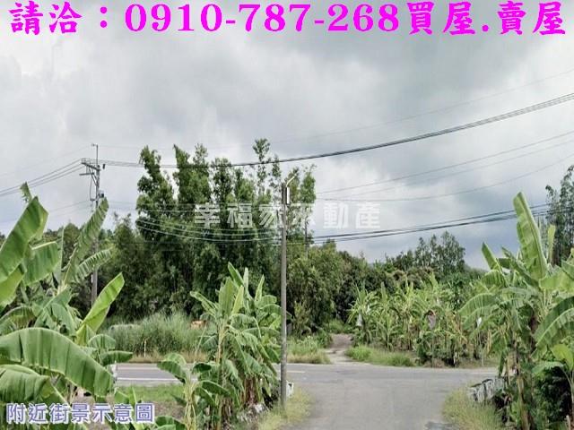 左鎮農地-10