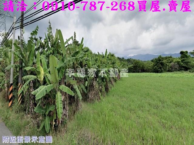 左鎮農地-6