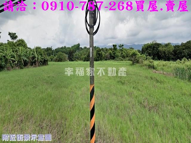 左鎮農地-7