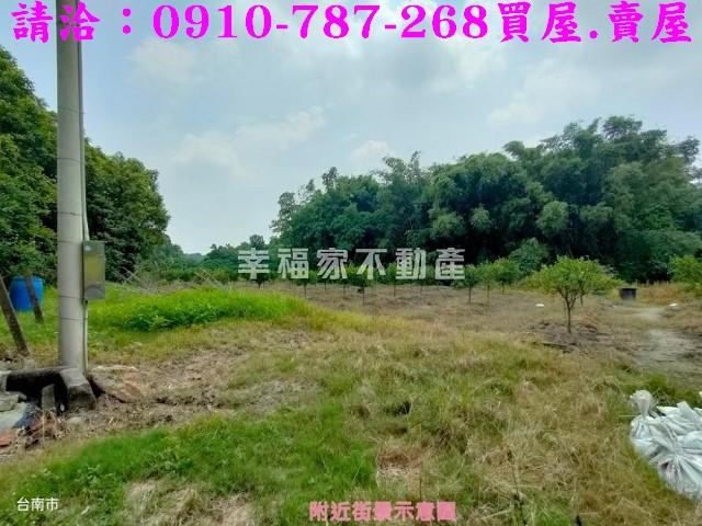 台南新化農地-11