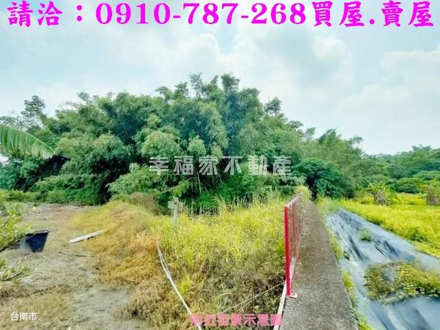 台南新化農地-2