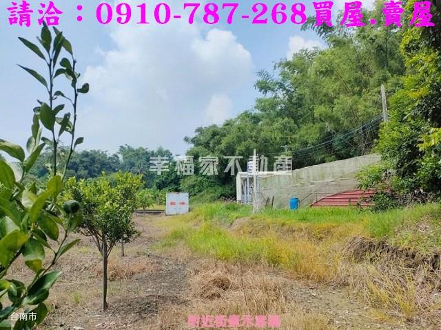 台南新化農地-3