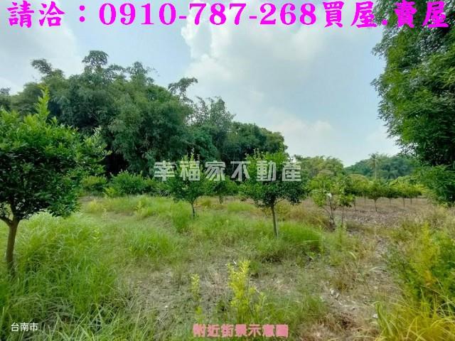 台南新化農地-6