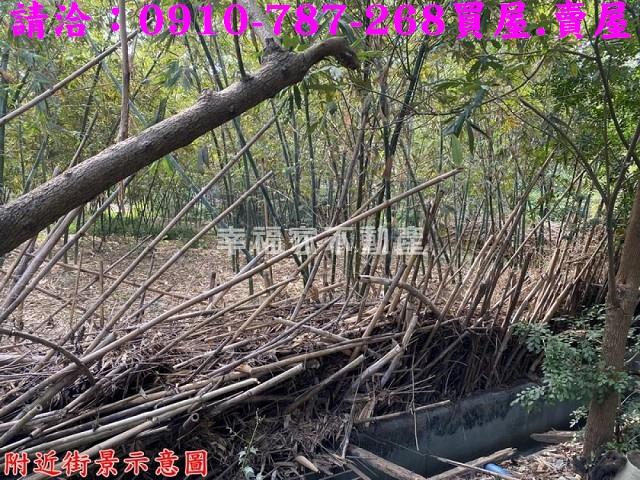 台南新化農地-11