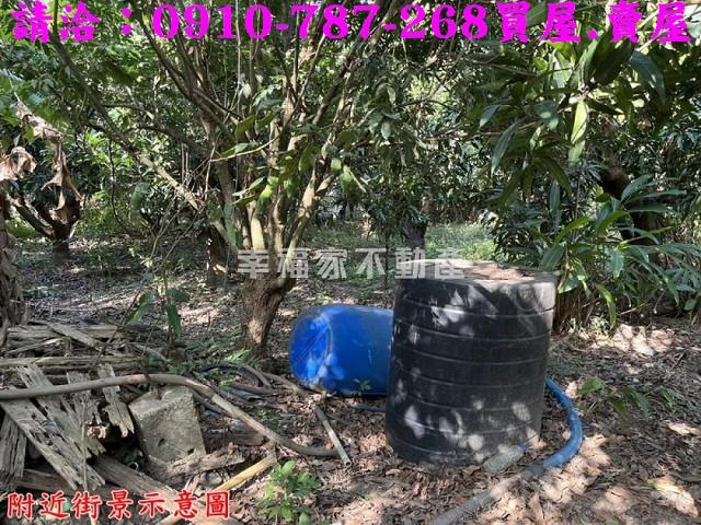 台南新化農地-4