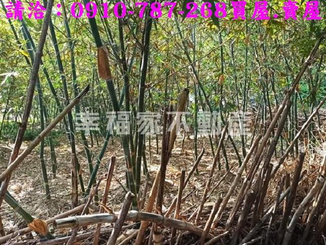 台南新化農地-5