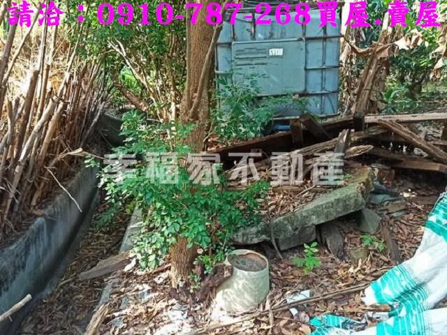 台南新化農地-7