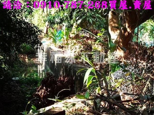 台南新化農地-8